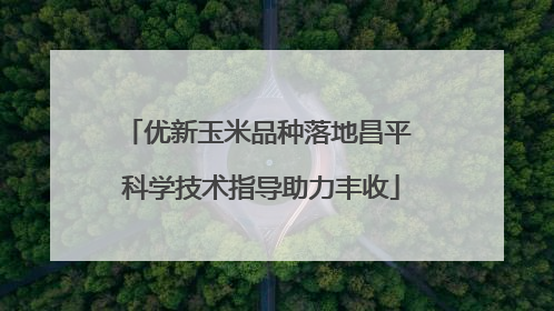 优新玉米品种落地昌平 科学技术指导助力丰收