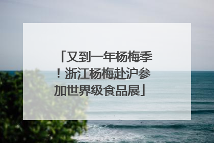 又到一年杨梅季！浙江杨梅赴沪参加世界级食品展