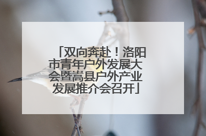 双向奔赴！洛阳市青年户外发展大会暨嵩县户外产业发展推介会召开