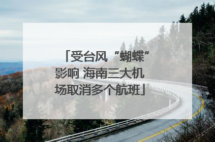 受台风“蝴蝶”影响 海南三大机场取消多个航班