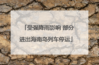 受强降雨影响 部分进出海南岛列车停运