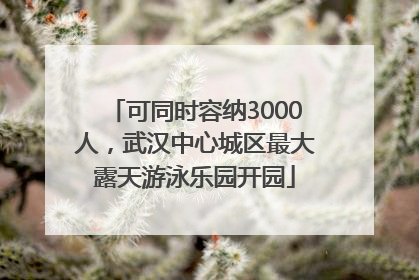 可同时容纳3000人，武汉中心城区最大露天游泳乐园开园