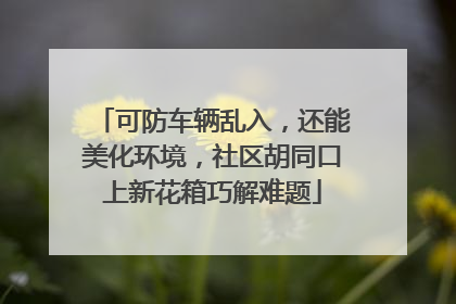 可防车辆乱入，还能美化环境，社区胡同口上新花箱巧解难题