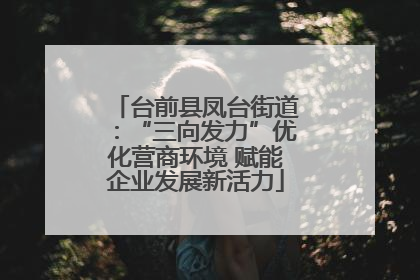 台前县凤台街道：“三向发力”优化营商环境 赋能企业发展新活力