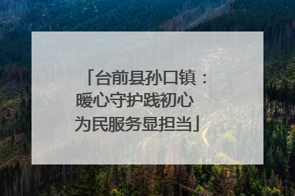 台前县孙口镇：暖心守护践初心 为民服务显担当
