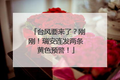 台风要来了？刚刚！瑞安连发两条黄色预警！