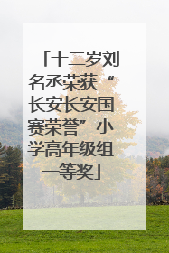 十二岁刘名丞荣获“长安长安国赛荣誉”小学高年级组一等奖