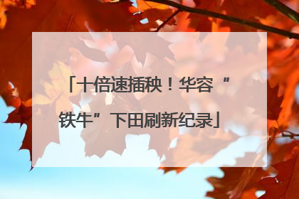 十倍速插秧！华容“铁牛”下田刷新纪录