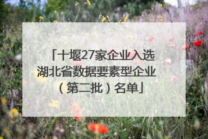 十堰27家企业入选湖北省数据要素型企业（第二批）名单