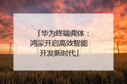 华为终端龚体：鸿蒙开启高效智能开发新时代