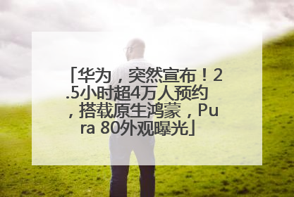 华为，突然宣布！2.5小时超4万人预约，搭载原生鸿蒙，Pura 80外观曝光