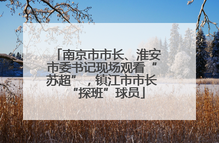 南京市市长、淮安市委书记现场观看“苏超”，镇江市市长“探班”球员
