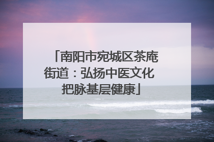 南阳市宛城区茶庵街道：弘扬中医文化 把脉基层健康