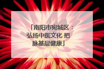 南阳市宛城区：弘扬中医文化 把脉基层健康