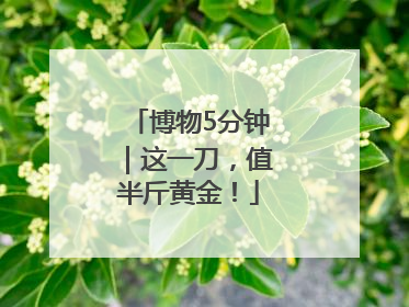 博物5分钟｜这一刀，值半斤黄金！