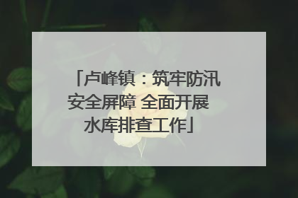 卢峰镇：筑牢防汛安全屏障 全面开展水库排查工作
