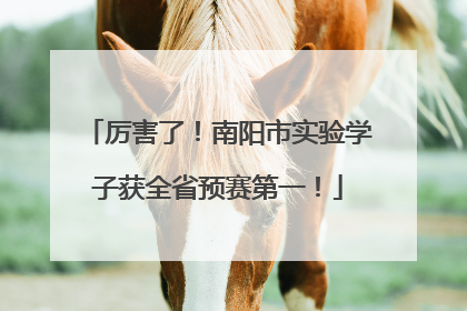 厉害了！南阳市实验学子获全省预赛第一！