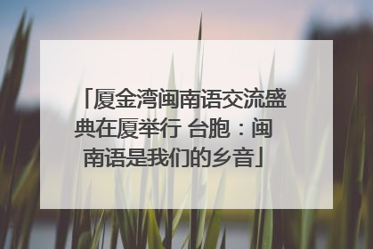 厦金湾闽南语交流盛典在厦举行 台胞：闽南语是我们的乡音