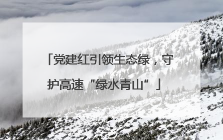 党建红引领生态绿，守护高速“绿水青山”