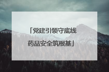 党建引领守底线 药品安全筑根基