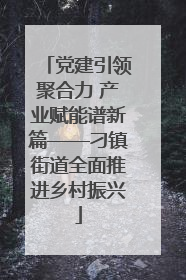 党建引领聚合力 产业赋能谱新篇——刁镇街道全面推进乡村振兴