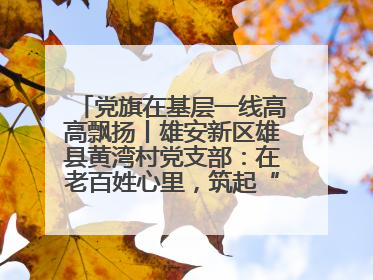 党旗在基层一线高高飘扬丨雄安新区雄县黄湾村党支部：在老百姓心里，筑起“一座山”