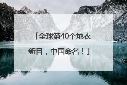 全球第40个地衣新目，中国命名！