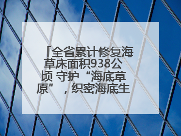 全省累计修复海草床面积938公顷 守护“海底草原”，织密海底生态“一张网”