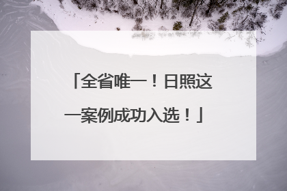 全省唯一！日照这一案例成功入选！