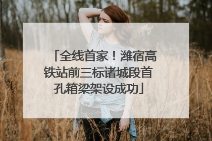 全线首家！潍宿高铁站前三标诸城段首孔箱梁架设成功