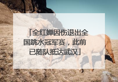 全红婵因伤退出全国跳水冠军赛，此前已随队抵达武汉
