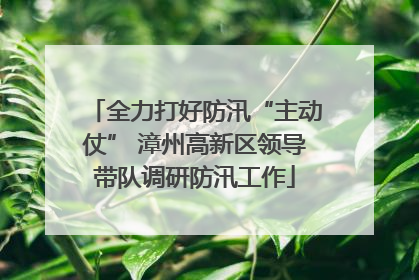 全力打好防汛“主动仗” 漳州高新区领导带队调研防汛工作