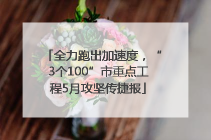 全力跑出加速度，“3个100”市重点工程5月攻坚传捷报