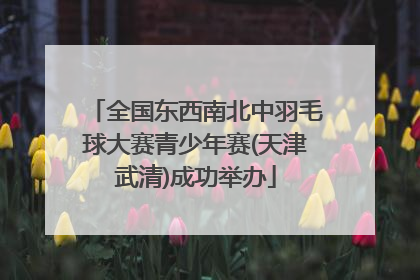 全国东西南北中羽毛球大赛青少年赛(天津武清)成功举办