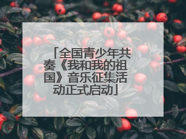 全国青少年共奏《我和我的祖国》音乐征集活动正式启动