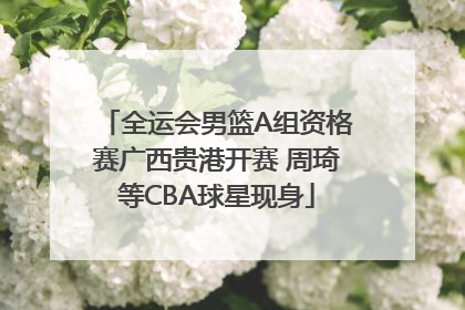 全运会男篮A组资格赛广西贵港开赛 周琦等CBA球星现身