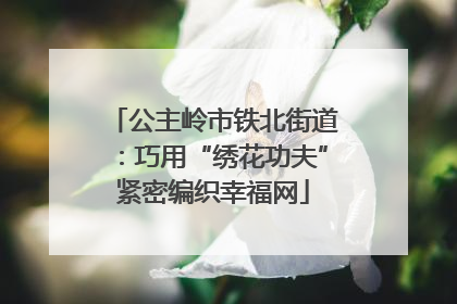 公主岭市铁北街道：巧用“绣花功夫”紧密编织幸福网