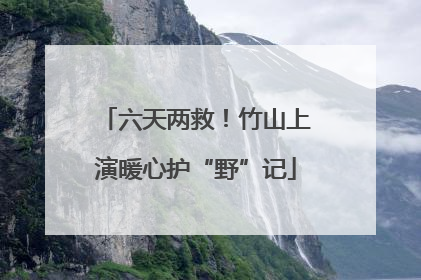 六天两救！竹山上演暖心护“野”记