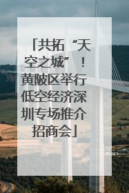共拓“天空之城”！黄陂区举行低空经济深圳专场推介招商会