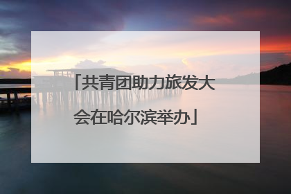 共青团助力旅发大会在哈尔滨举办