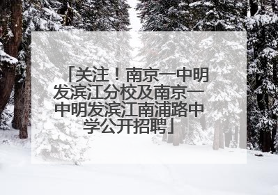 关注！南京一中明发滨江分校及南京一中明发滨江南浦路中学公开招聘