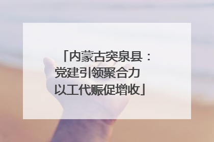 内蒙古突泉县：党建引领聚合力 以工代赈促增收