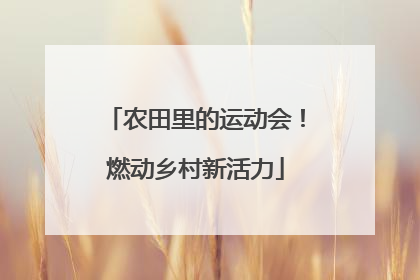 农田里的运动会！燃动乡村新活力