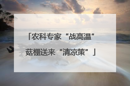 农科专家“战高温” 菇棚送来“清凉策”