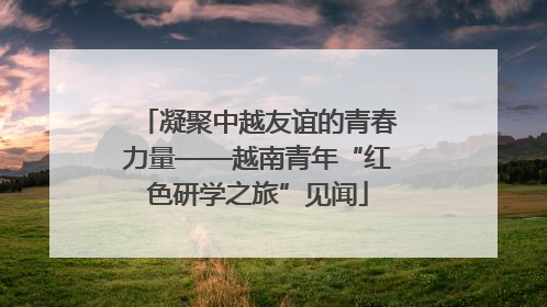 凝聚中越友谊的青春力量——越南青年“红色研学之旅”见闻