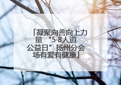 凝聚向善向上力量 “5·8人道公益日”扬州分会场有爱有健康