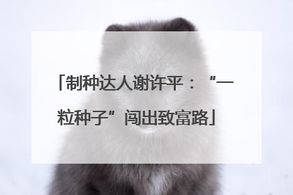 制种达人谢许平：“一粒种子”闯出致富路