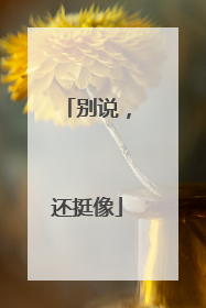 别说，还挺像