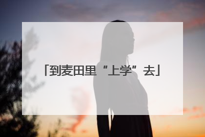 到麦田里“上学”去