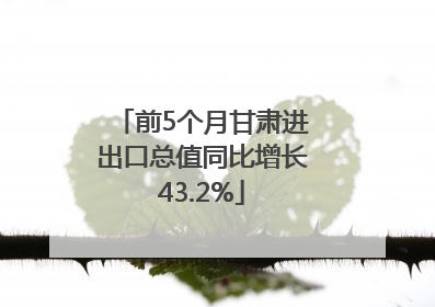 前5个月甘肃进出口总值同比增长43.2%